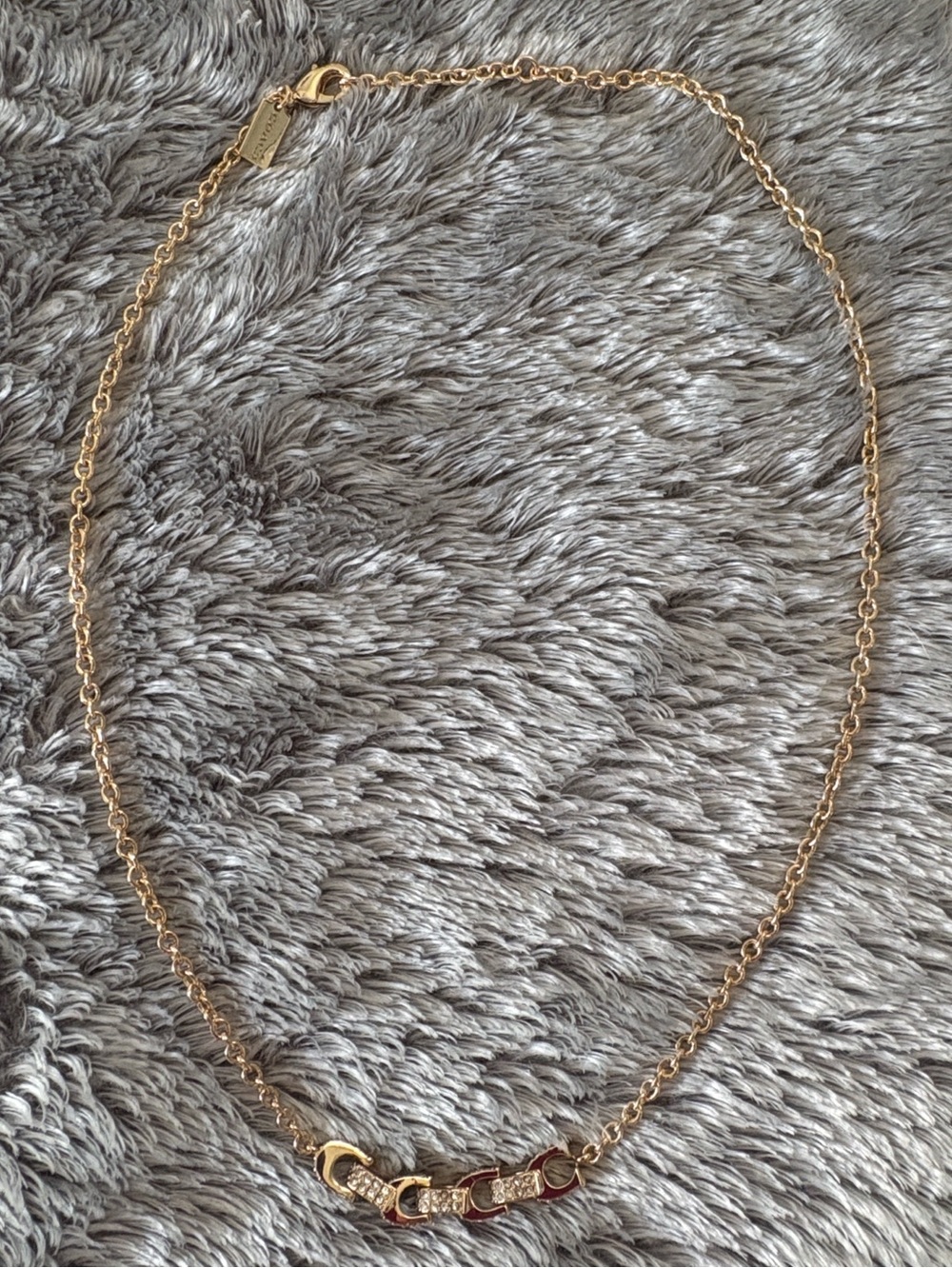 Coach Necklace